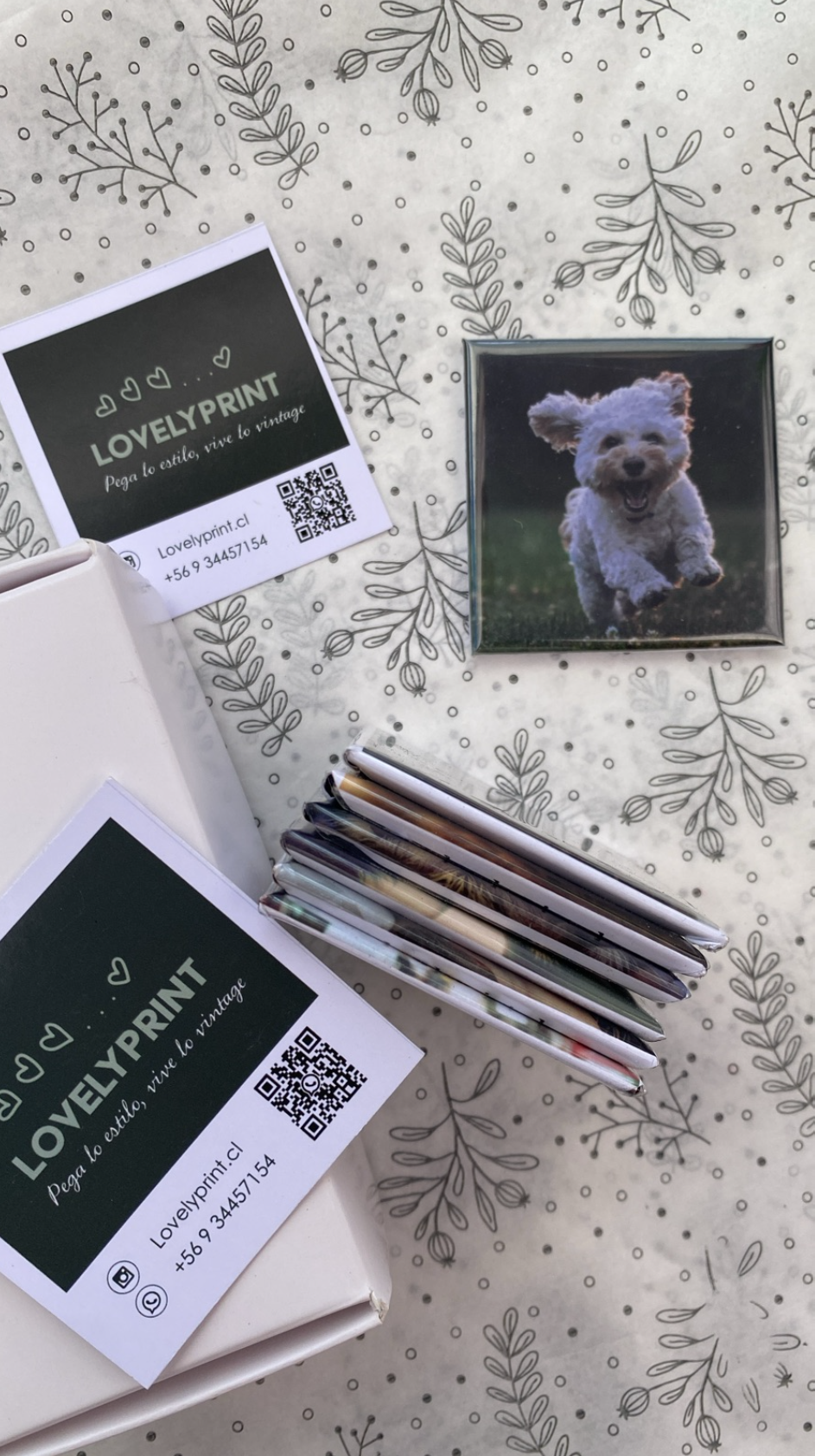 Caja 6 Imanes Fotográficos