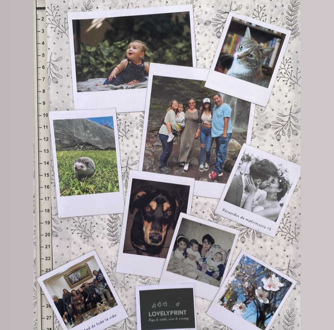 Pack 9 Fotos Imanes Variados