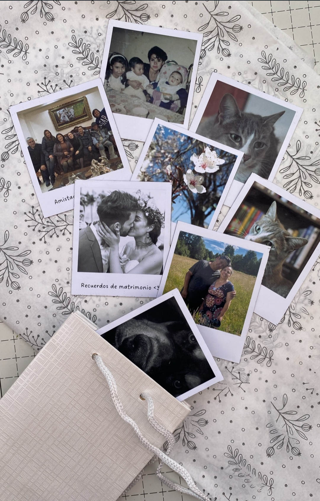 Pack 15 Imanes Fotográficos Pequeños