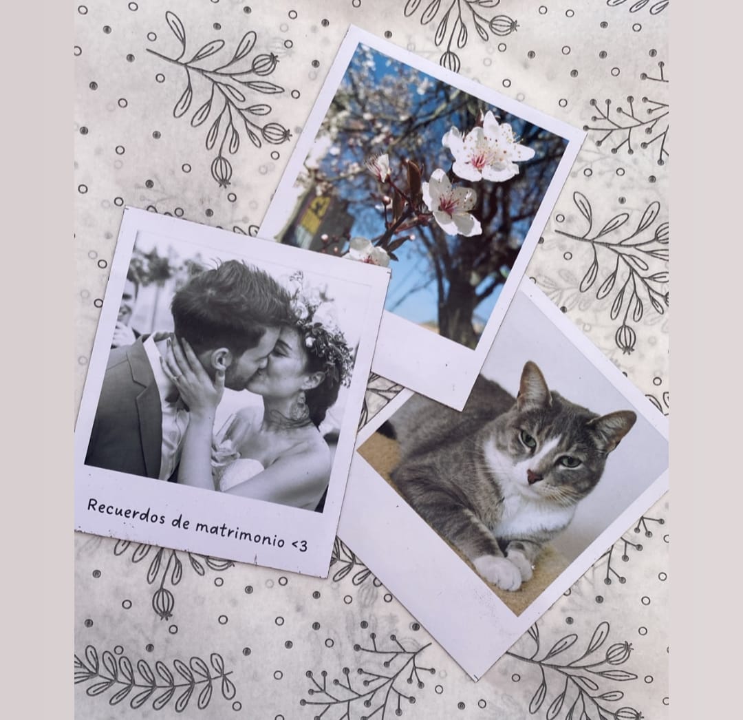 Set 3 Fotos Imanes Pequeños