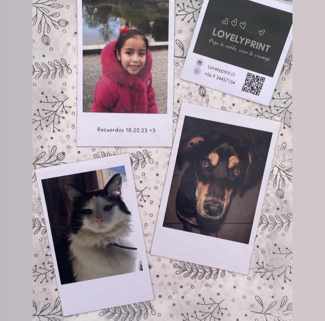 Pack 3 Imanes Fotográficos Medianos